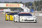 corvette alms 2007